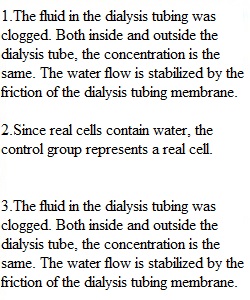 Diffusion Lab